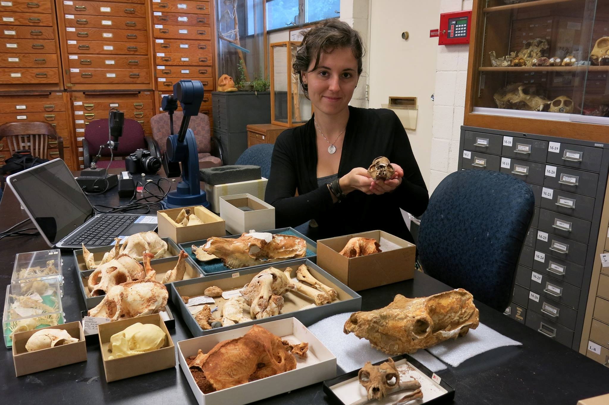 Dr. Anna Penna in the museum Dr. Anna Penna in the museum