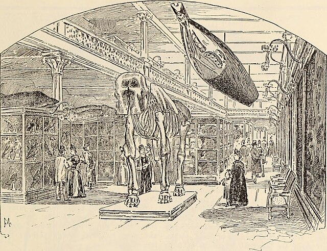 AMNH lithography AMNH lithography